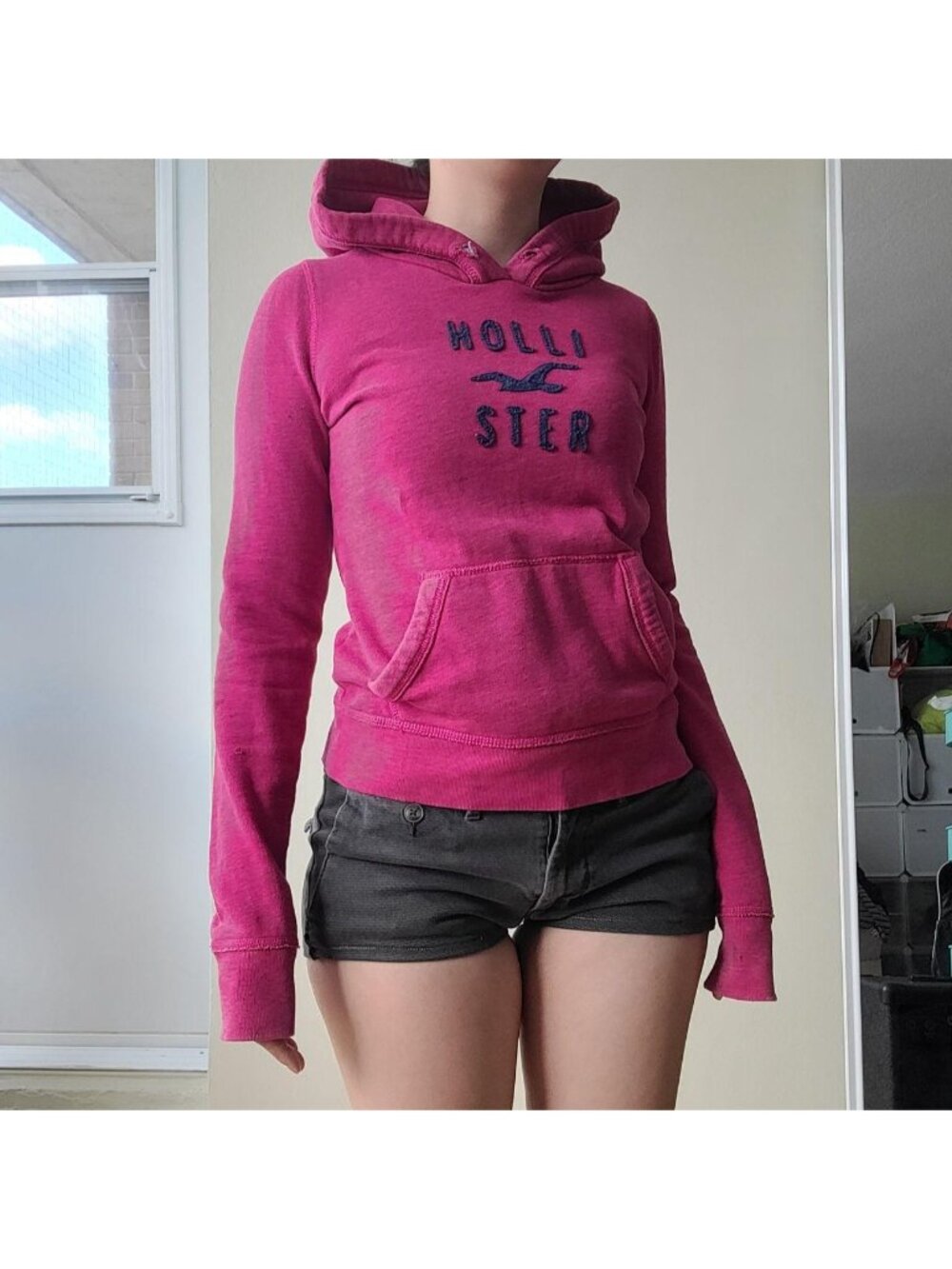 Hollister pink and blue Slim fit Fitted embroidered Hoodie (XS)